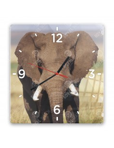 Саванный слон