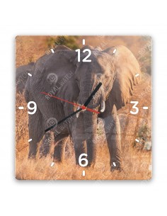 Саванный слон