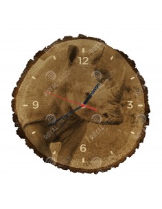Nosorožec ostronosý