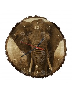 Slon africký