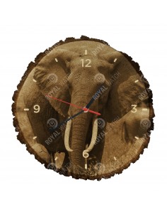 Slon africký
