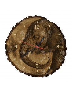 Slon africký