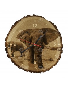 African bush elephant