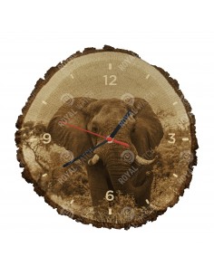 Slon africký