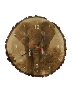 Slon africký