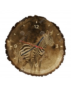 Zebra stepní