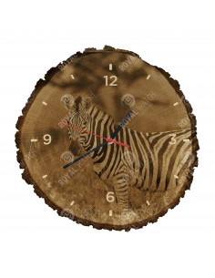 Zebra stepowa