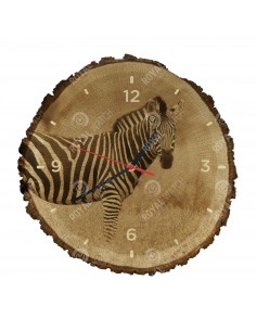 Zebra stepní