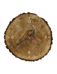 Бурчеллова зебра