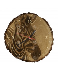 Zebra stepní
