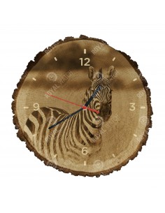 Zebra stepowa