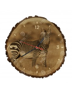 Zebra stepowa