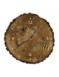 Zebra stepní