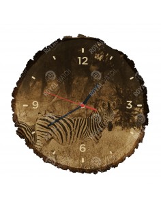 Бурчеллова зебра