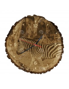 Zebra stepní