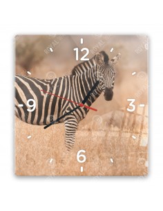 Zebra stepowa