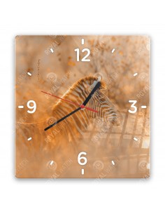 Zebra stepowa