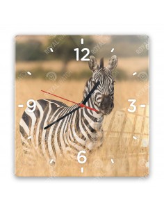 Zebra stepowa