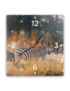 Zebra stepní