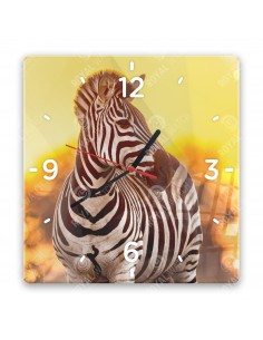 Zebra stepní
