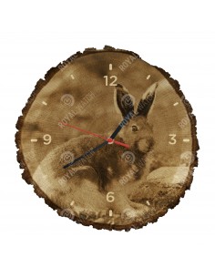 Арктический беляк