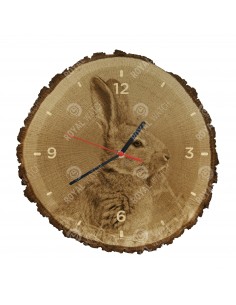 Дикий кролик