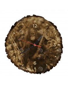 Orang-Utans