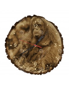 Orang-Utans