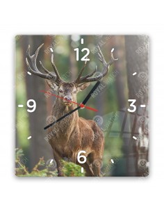 Благородный олень