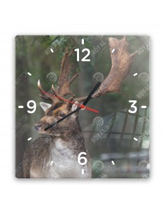Damhirsch
