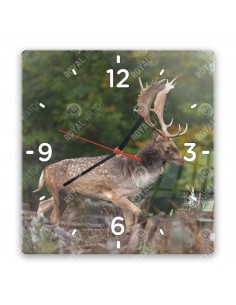 Damhirsch