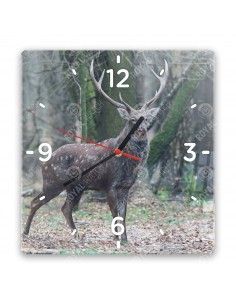 Sikahirsch
