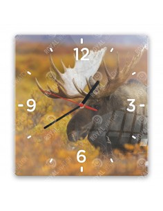 Европейский лось