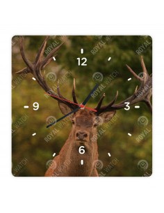 Благородный олень