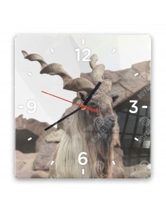 Markhor