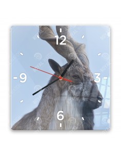 Markhor