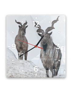 Markhor