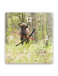 Wisent