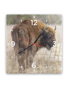 Wisent