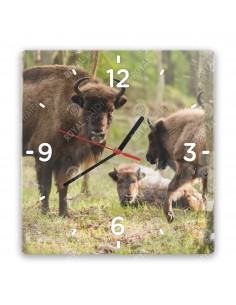 Wisent