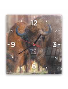 Wisent