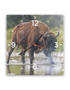 European bison