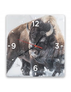 Amerikanischer Bison