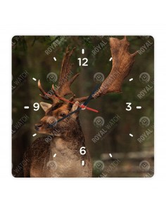 Damhirsch