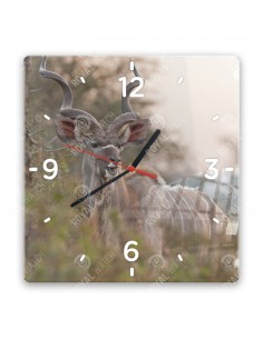 Kudu velký
