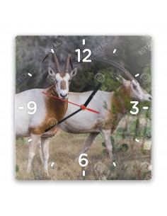 Säbelantilope