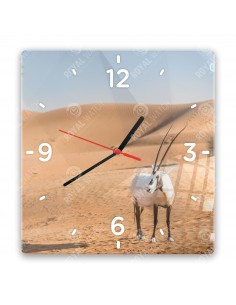 Priamorožec arabský