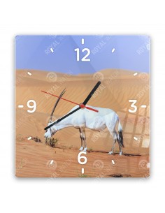 Priamorožec arabský