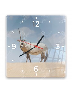 Priamorožec arabský