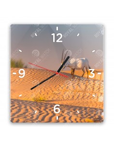 Priamorožec arabský